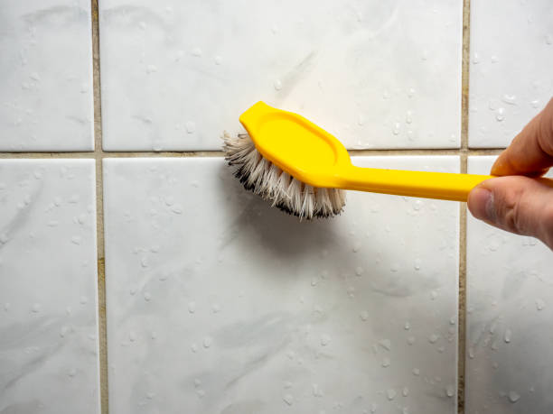 Gray, GA Mold Removal Company
