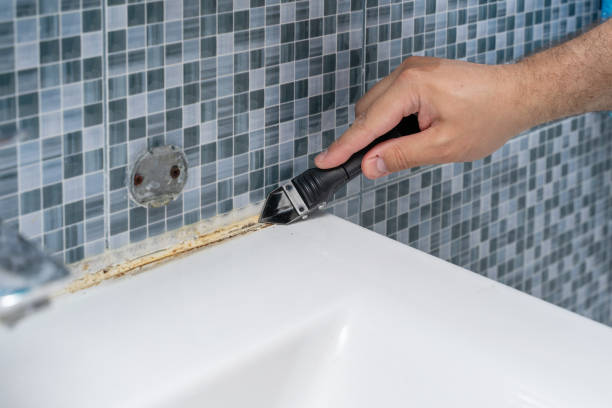 Professional Mold Removal in Gray, GA