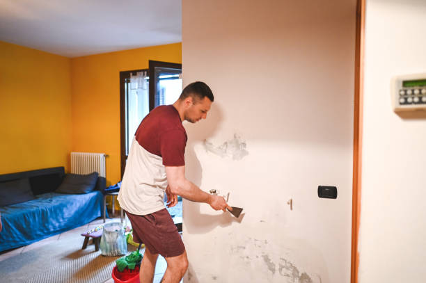 Certified Mold Removal in Gray, GA
